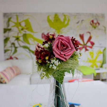 Ioan Budai-Deleanu Apartment クルージュ＝ナポカ エクステリア 写真